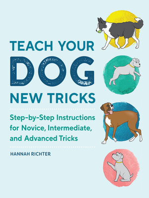 cover image of Teach Your Dog New Tricks